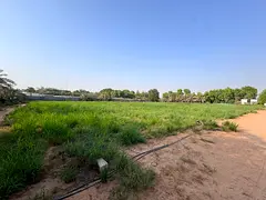 A prime agricultural lease opportunity in Al Zubair, Sharjah