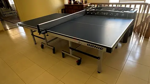 Professional Donic Indoor Table Tennis / Perfect Condition - ITTF-approved. 50% discount.