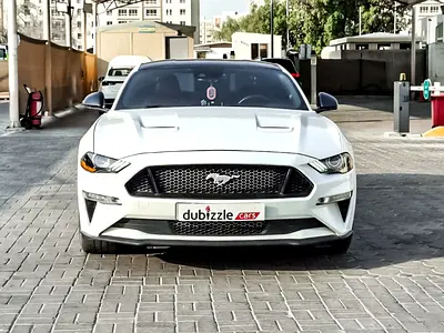 2019 FORD MUSTANG 照片 2