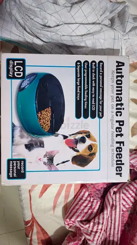 Automatic Pet Feeder with LCD — 6 Meal Portion Dispenser