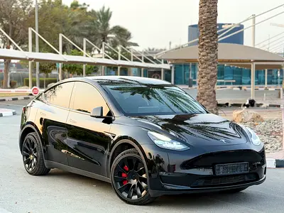 2022 Tesla MODEL Y — фото 4