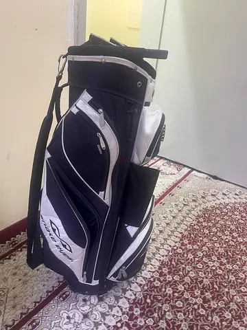 Gold clubs and bag