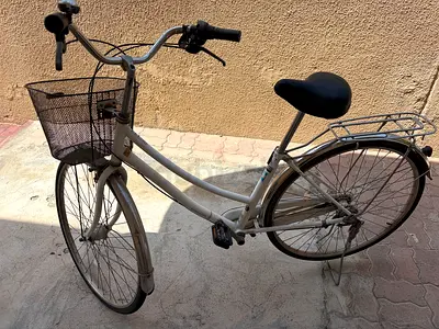 Standard bicycle with basket