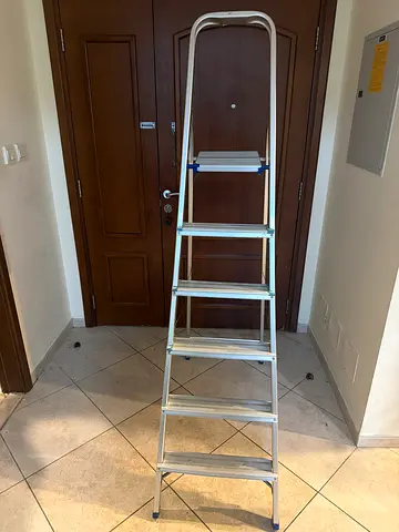Ladder