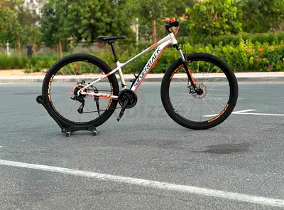 Silverback mtb/29