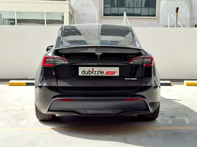 2024 Tesla MODEL Y 缩略图 7
