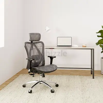 SIHOO M57 Classic Ergonomic Office Chair