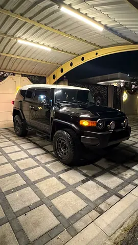 2010 Toyota FJ CRUISER photo 3