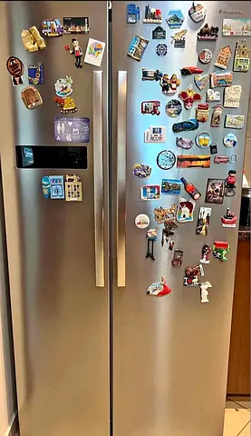 Panasonic Side By Side Refrigerator