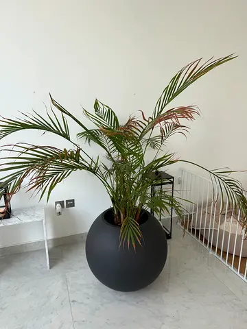 Large Matte Grey Black White Indoor Outdoor Plant Pot / Planter