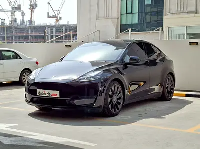 2024 Tesla MODEL Y 缩略图 3