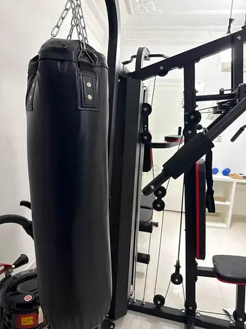 Gym full body machine