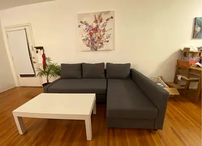 Modern L-Shaped Sectional Sofa with Cushions