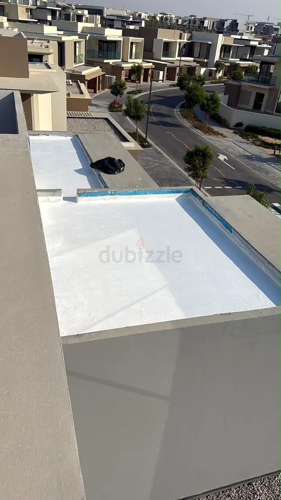 DPV_View_Image_2