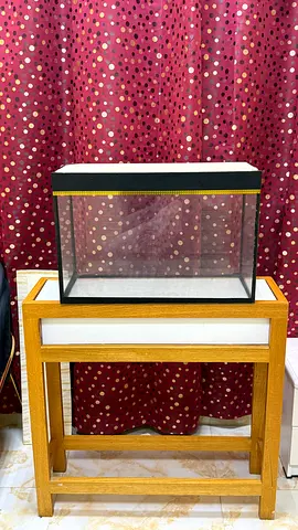 Aquarium and Table