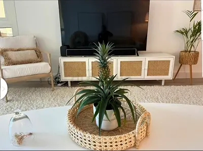 Entertainment unit
