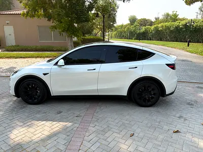 2022 Tesla MODEL Y 照片 2