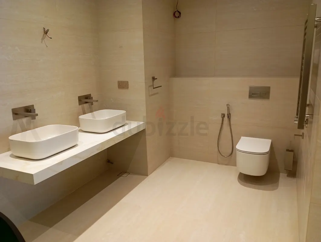 DPV_View_Image_2
