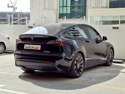 2024 Tesla MODEL Y 缩略图 6