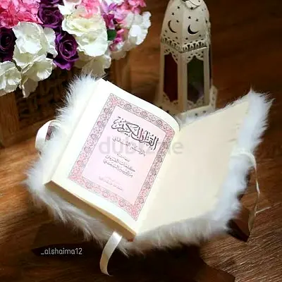 Online Quran classes available with experienced female Qaria and proper timing