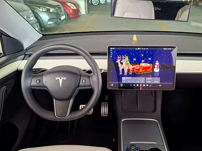 2024 Tesla MODEL Y 缩略图 10
