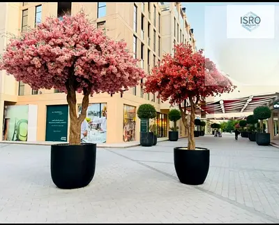 Elegant 1BED||appliances||poll||gym||Parking||