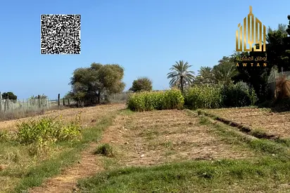 للبيع: مزرعة فاخرة في الفجيرة – موقع مميز على البحر