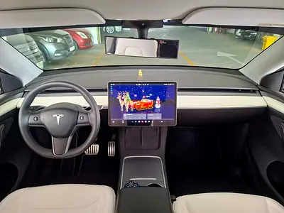 2024 Tesla MODEL Y 缩略图 9