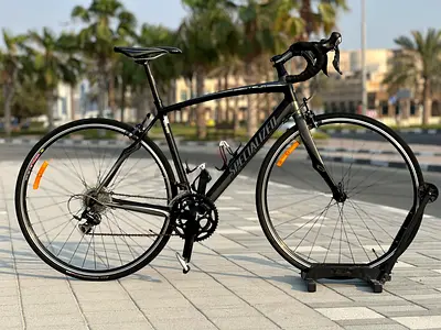 Specialized secteur Roadbike/54