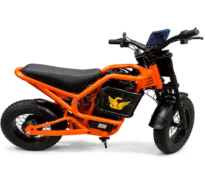 ASTER X9 KIDS Electric Dirt Bike With Fat tires 2026 new model Age 6+