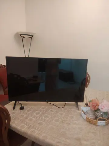 Sleek Flat Screen TV with Stand