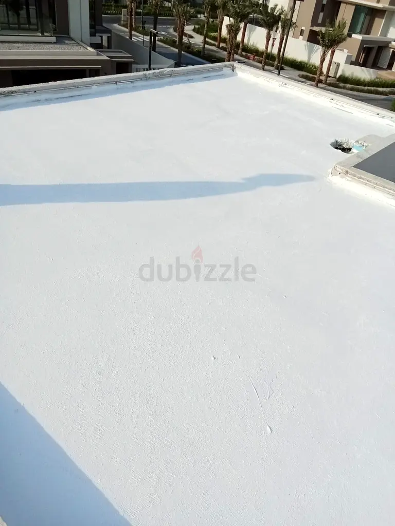 DPV_View_Image_1