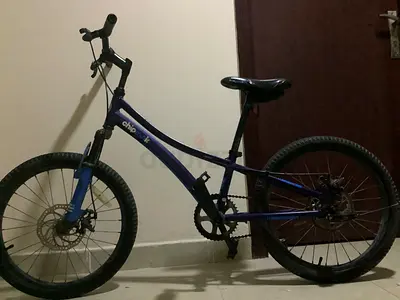 bike for sale /fixed wheel and brakes