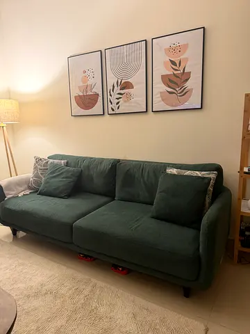 Green Sofa sofa set