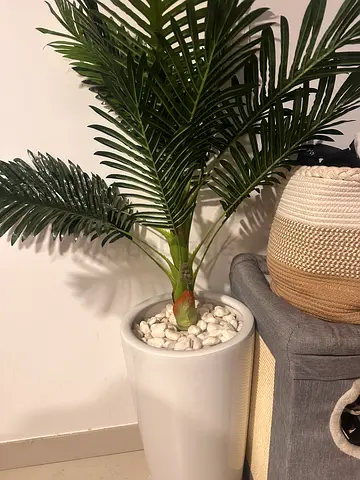 Tall artificial palm plant in white pot — ready to place