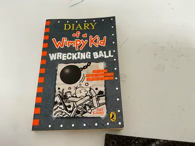 Diary of a Wimpy Kid: Wrecking Ball - Paperback