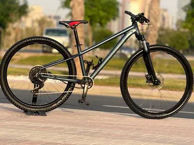 Speclized rockhoper comp
