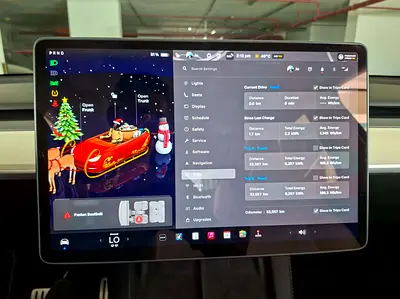 2024 Tesla MODEL Y 缩略图 13