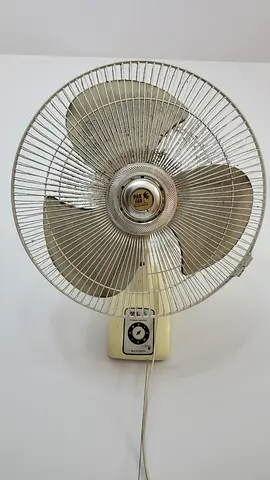 Heavy-duty Pak Fan Wall-Mounted Must Go Today