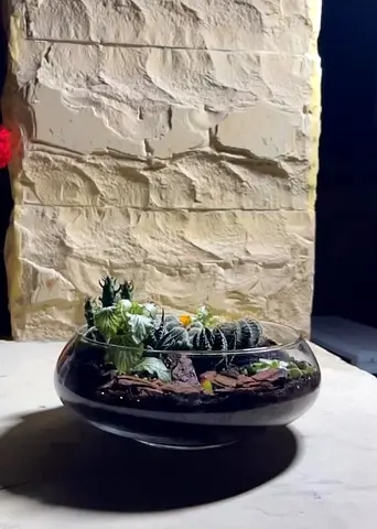 I made myself - Glass bowl terrarium with small cacti - ready to display