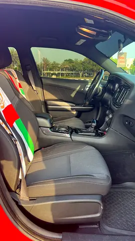2019 Dodge CHARGER 缩略图 10