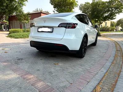 2022 Tesla MODEL Y 照片 3