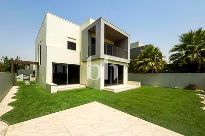 Multiple Cheques | Single Row | Large Plot