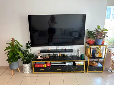TV unit