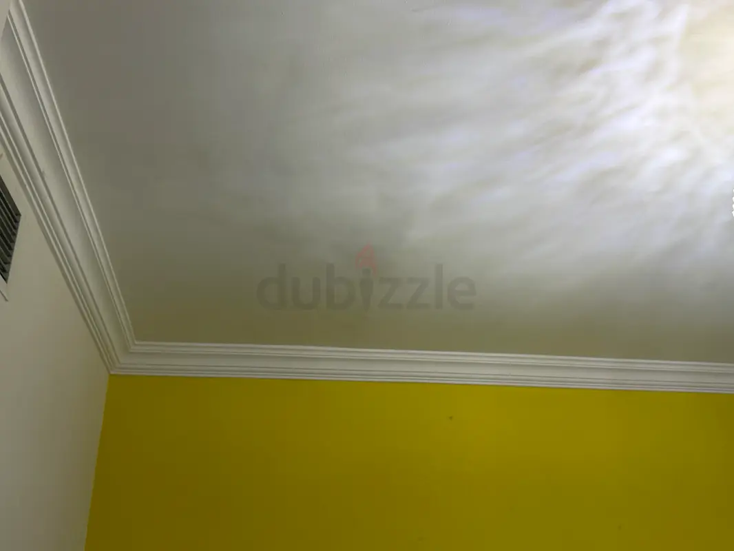 DPV_View_Image_4