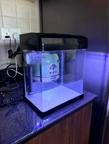Small LED Aquarium Tank with Filter and Hood - Excellent Condition