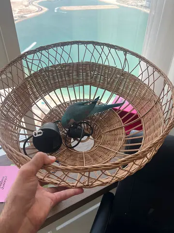 Wicker chandelier 60cm