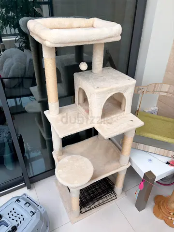 Cat accessories
