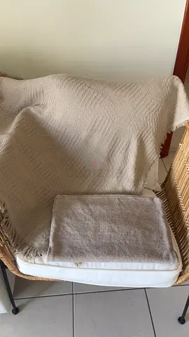 Greige textured throw blanket(Amazon) with matching cushion cover( Pottery Barn)