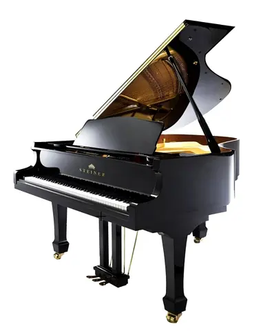 Black Grand Piano - Steiner (Polished Finish)